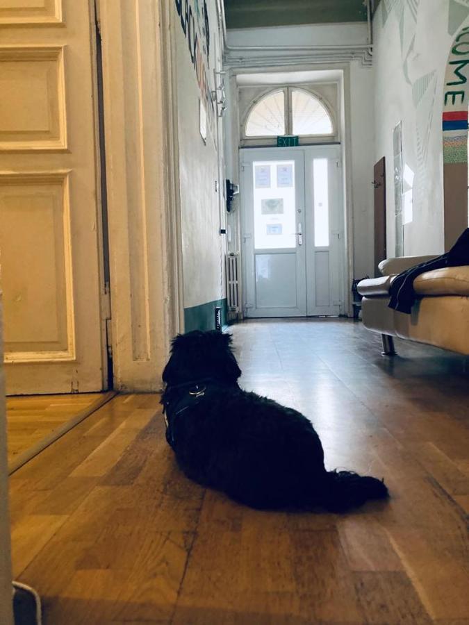 Black Dog Hostel Budapest Luaran gambar