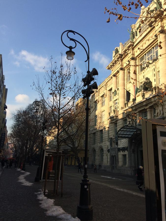 Black Dog Hostel Budapest Luaran gambar
